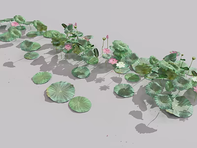 Green Lily Pads and Pink Lotus Flowers on Water Surface with Budding Blooms 3d model