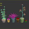 Various Types Of Green Plants In Different Size And Color Pots Against Gray Background