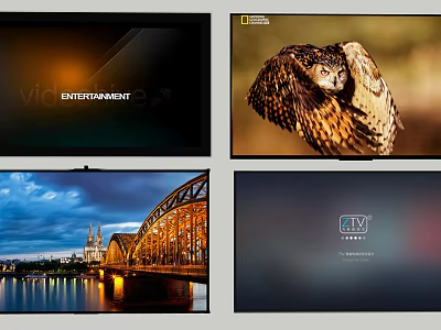 TV Screen Displays Entertainment Owl Image Night Bridge View And HD Television Content 3d model