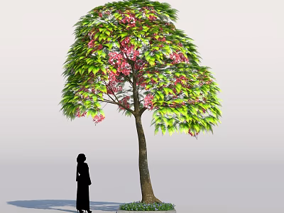 Lush Tree with Green Leaves and Pink Flowers Near a Person Silhouette 3d model
