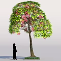 Lush Tree with Green Leaves and Pink Flowers Near a Person Silhouette