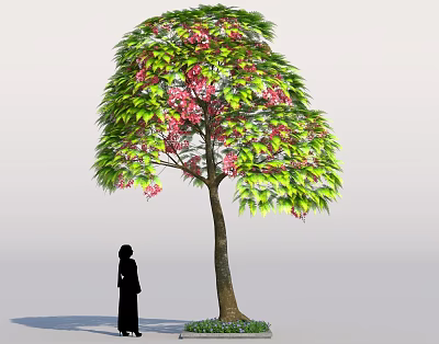 Lush Tree with Green Leaves and Pink Flowers Near a Person Silhouette 3d model