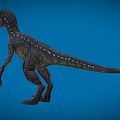 Velociraptor Speed Dragon Microraptor Dinosaur Reptile Ancient Biology Meat-eating Dinosaur Jurassic Low Face Number Low Model Simple Model Game Movie Realistic 3d model