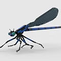 Building Blocks Dragonfly Model With Blue Wings Black Legs And Green Head