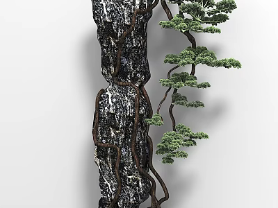 Bonsai Plant With Green Pine Foliage Twisted Branches And Rock Decoration 3d model