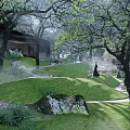 Tranquil Natural Garden Featuring Pine Tree Stone Rocks And Wooden Cabin