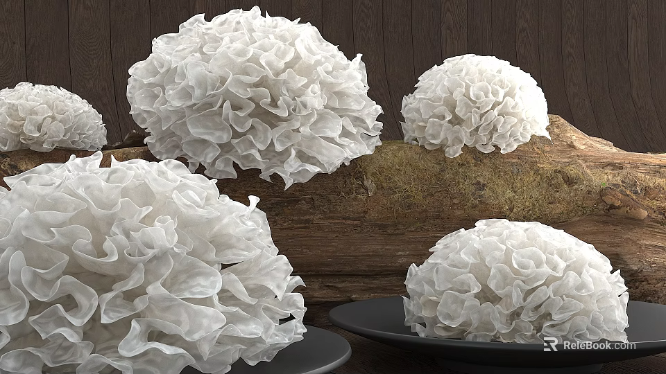 White Fluffy Mushroom Clusters Displayed On Wooden Log And Plates 3d model 