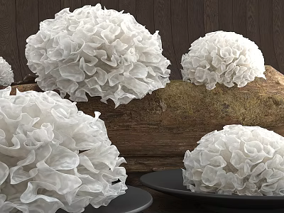 White Fluffy Mushroom Clusters Displayed On Wooden Log And Plates 3d model