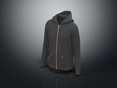 Stylish Gray Zip Up Hoodie With Front Pockets For Casual Wear 3d model