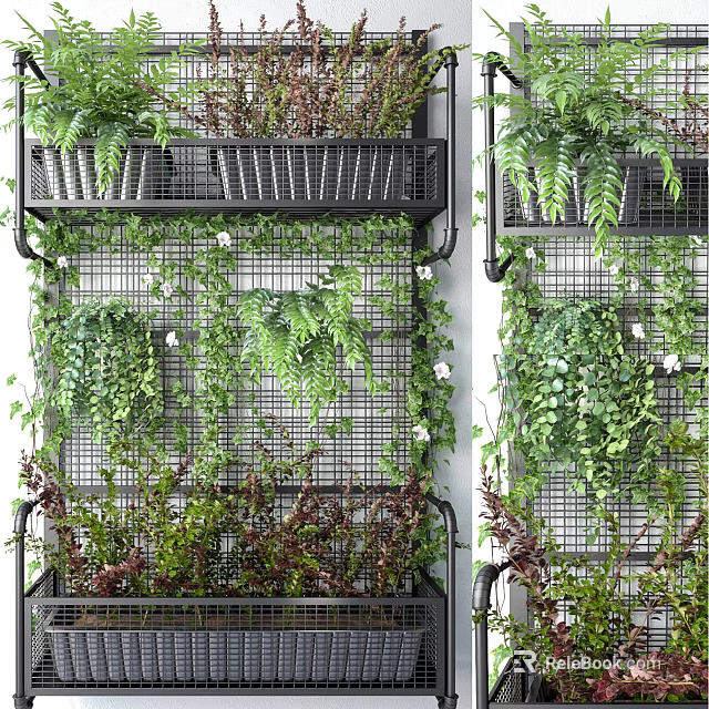 Living Plant Wall with Metal Grid Structure and Diverse Lush Green Foliage 3d model 