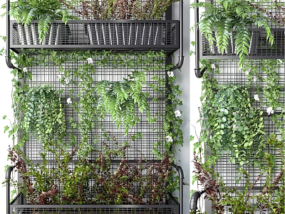 Living Plant Wall with Metal Grid Structure and Diverse Lush Green Foliage 3d model