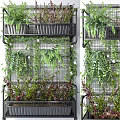 Living Plant Wall with Metal Grid Structure and Diverse Lush Green Foliage