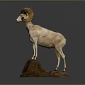 Ram With Large Curved Horns Statue Standing Gracefully On Natural Rock Base