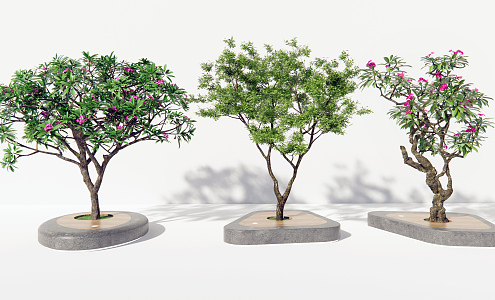 Modern Tree Landscape Tree 3d model