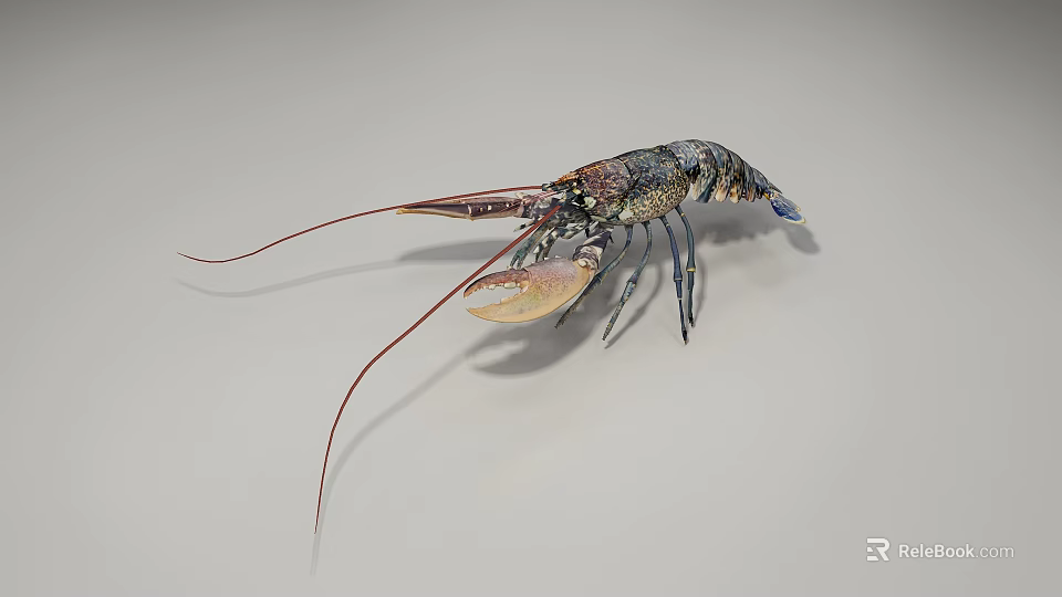 Vibrant Lobster With Long Antennae Large Claws And Colorful Shell 3d model 