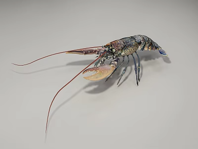 Vibrant Lobster With Long Antennae Large Claws And Colorful Shell 3d model