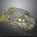 Natural Wood Stone With Moss Covered Textured Gray Green Surface For Garden Decor