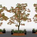 Tree Planters with Wooden Borders and Leafy Trees Surrounding Greenery Design 3d model