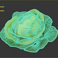 Fresh Cabbage With Vibrant Green Leaves And Crisp Texture On Dark Background
