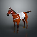 Brown Horse Standing With White Saddle Cloth Featuring Number 3 on Dark Background