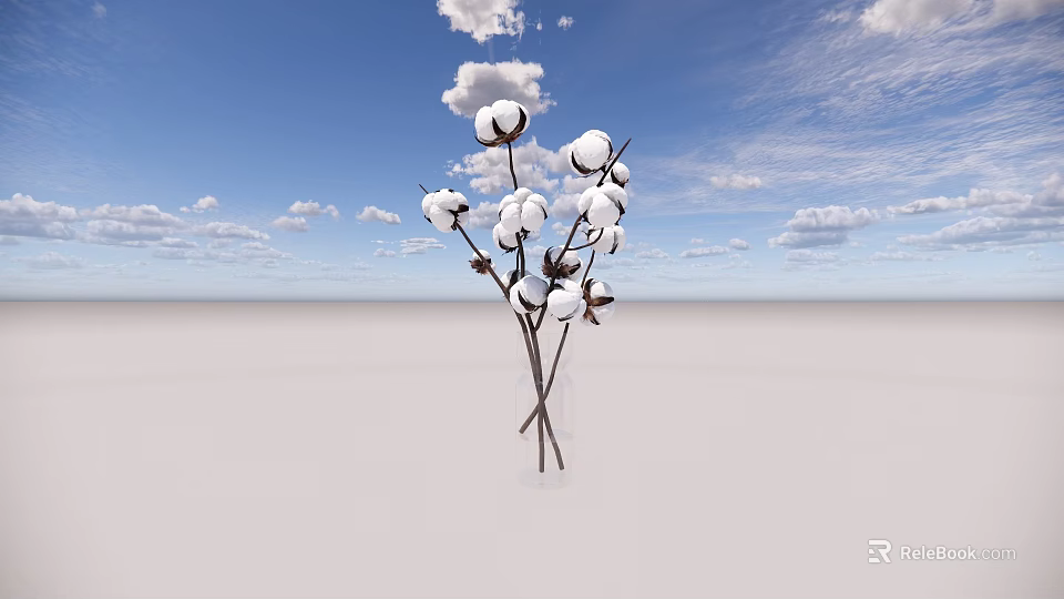 Beautiful Cotton Bouquet In Glass Vase Against Blue Sky With White Clouds 3d model 