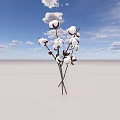 Beautiful Cotton Bouquet In Glass Vase Against Blue Sky With White Clouds
