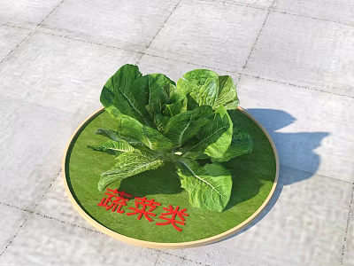 Fresh Green Vegetables Displayed On Round Green Tray For Category 3d model