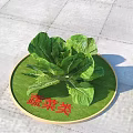Fresh Green Vegetables Displayed On Round Green Tray For Category 3d model