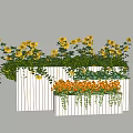 White Wooden Flower Planters with Yellow Flowers Orange Blooms and Trailing Greenery Decoration