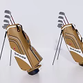 Titleist Golf Bags With Stand And Clubs In Brown And White Design