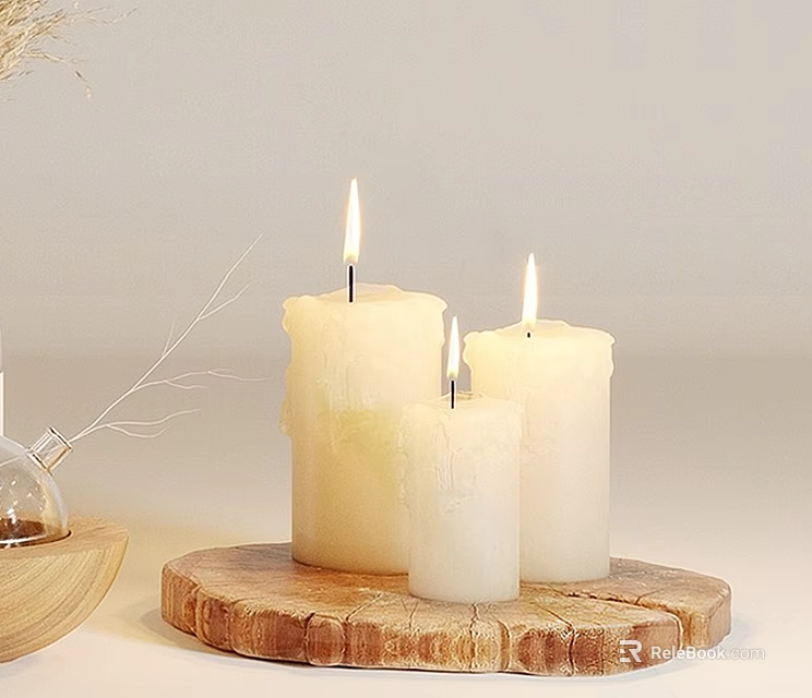 Home Decorative Ornament Set With Burning Candles On Wooden Tray And Dried Twigs 3d model 