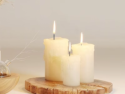 Home Decorative Ornament Set With Burning Candles On Wooden Tray And Dried Twigs 3d model