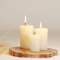 Home Decorative Ornament Set With Burning Candles On Wooden Tray And Dried Twigs