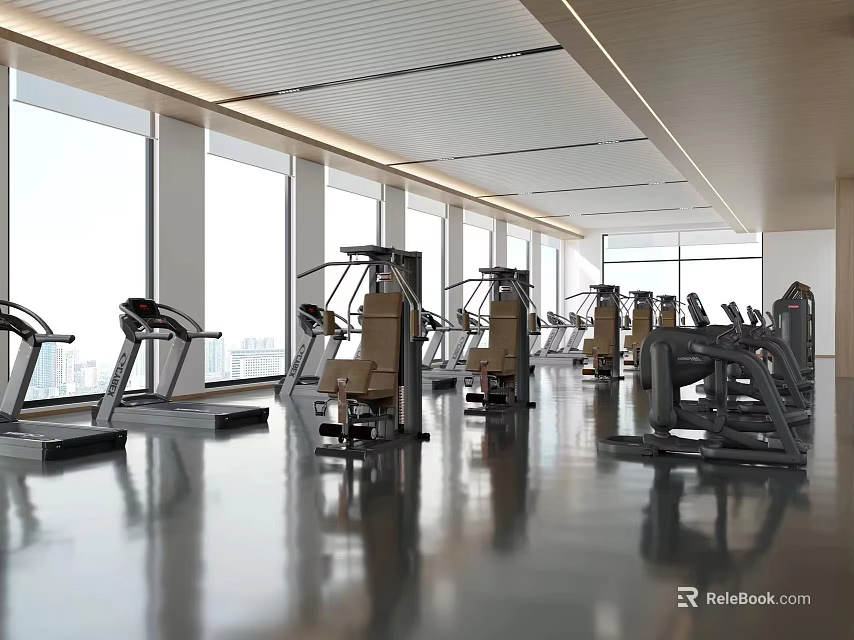 Modern Gym With Fitness Equipment In Bright Space 3d model 