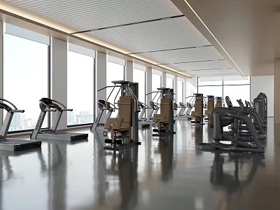 Modern Gym With Fitness Equipment In Bright Space 3d model