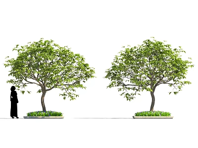 Lush Green Shrubs With Dense Foliage And Person Standing Nearby In Grassy Garden 3d model