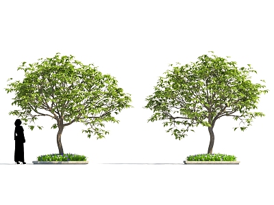 Cartoon style green garden landscape tree model