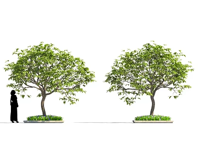 Lush Green Shrubs With Dense Foliage And Person Standing Nearby In Grassy Garden 3d model