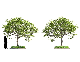 Cartoon style green garden landscape tree 3d model