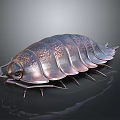 Copper Colored Shiny Segmented Pill Bug With Elliptical Body And Many Legs On Gray Background