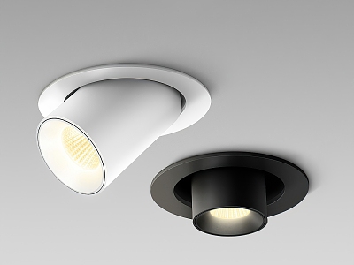 Downlight Spotlight 3d model