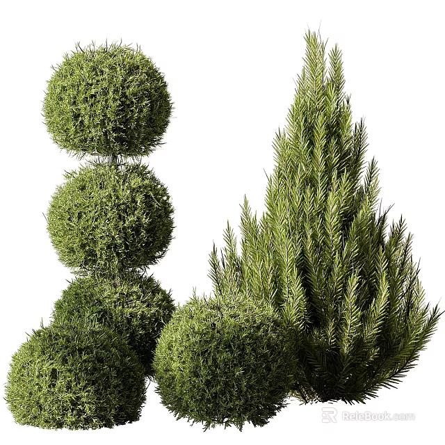 Stacked Spherical Topiary Shrubs And Tall Dense Evergreen Bushes In Garden 3d model 