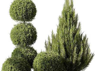 Stacked Spherical Topiary Shrubs And Tall Dense Evergreen Bushes In Garden 3d model