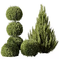 Stacked Spherical Topiary Shrubs And Tall Dense Evergreen Bushes In Garden