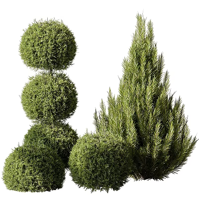 Stacked Spherical Topiary Shrubs And Tall Dense Evergreen Bushes In Garden 3d model