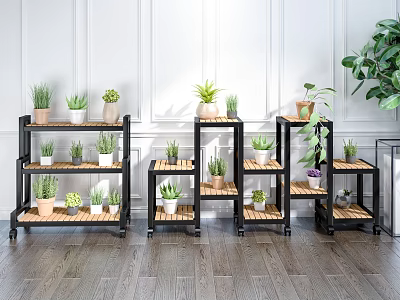 Indoor Multi tiered Plant Stands Displaying Colorful Succulent Plants In Ceramic Pots 3d model