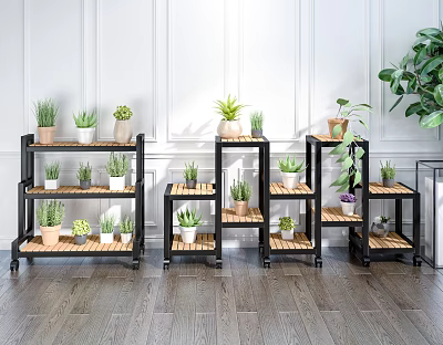 Indoor Multi tiered Plant Stands Displaying Colorful Succulent Plants In Ceramic Pots 3d model