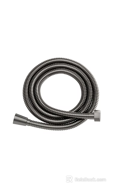 Flexible Metal Shower Hose With Coiled Design And Chrome Connectors 3d model 