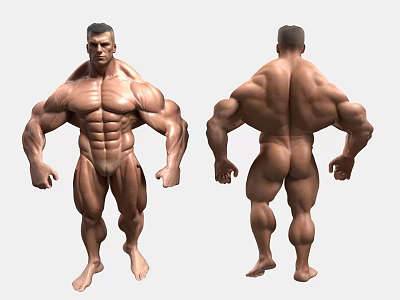 Muscular Man Bodybuilder Front and Back View With Defined Physique 3d model