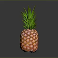 Fresh Ripe Pineapple With Green Leafy Top And Orange Yellow Skin
